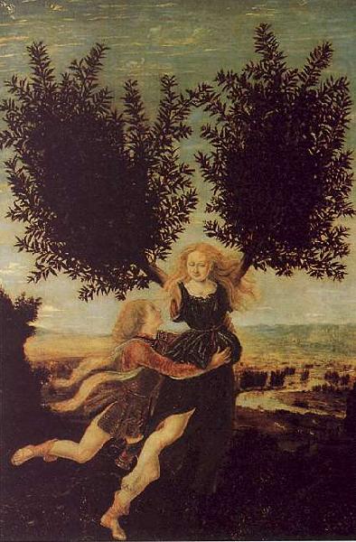Antonio Pollaiuolo Apollo and Daphne china oil painting image